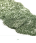 GlitterEnvi │ Jade - MisMacK Cosmetics
