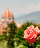 Florence - Rose Neroli Deodorant Spray - Active Humans