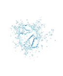 Face Food Mineral Mist-4