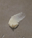 Neroli + Pepper Radiant Body Scrub-5
